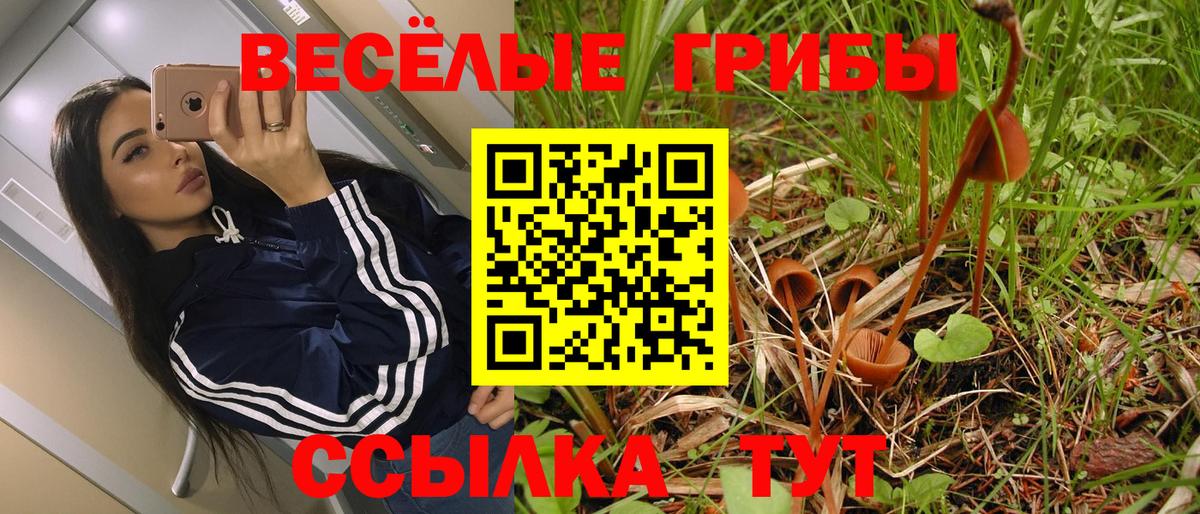 Ангарск  Галлюциногенные грибы Psilocybine cubensis  Вход с VPN 